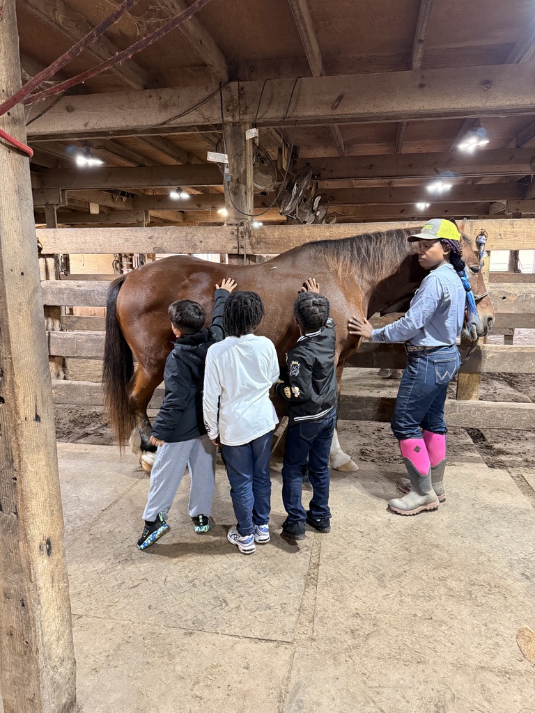 Students brushing horse