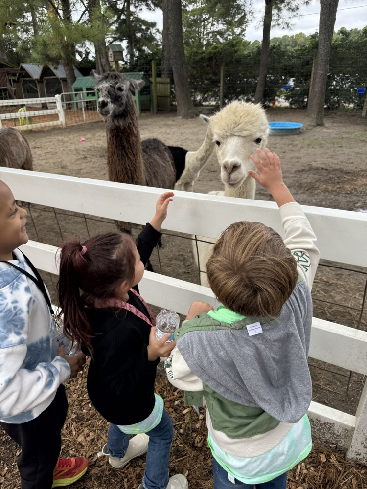 hunt club farm