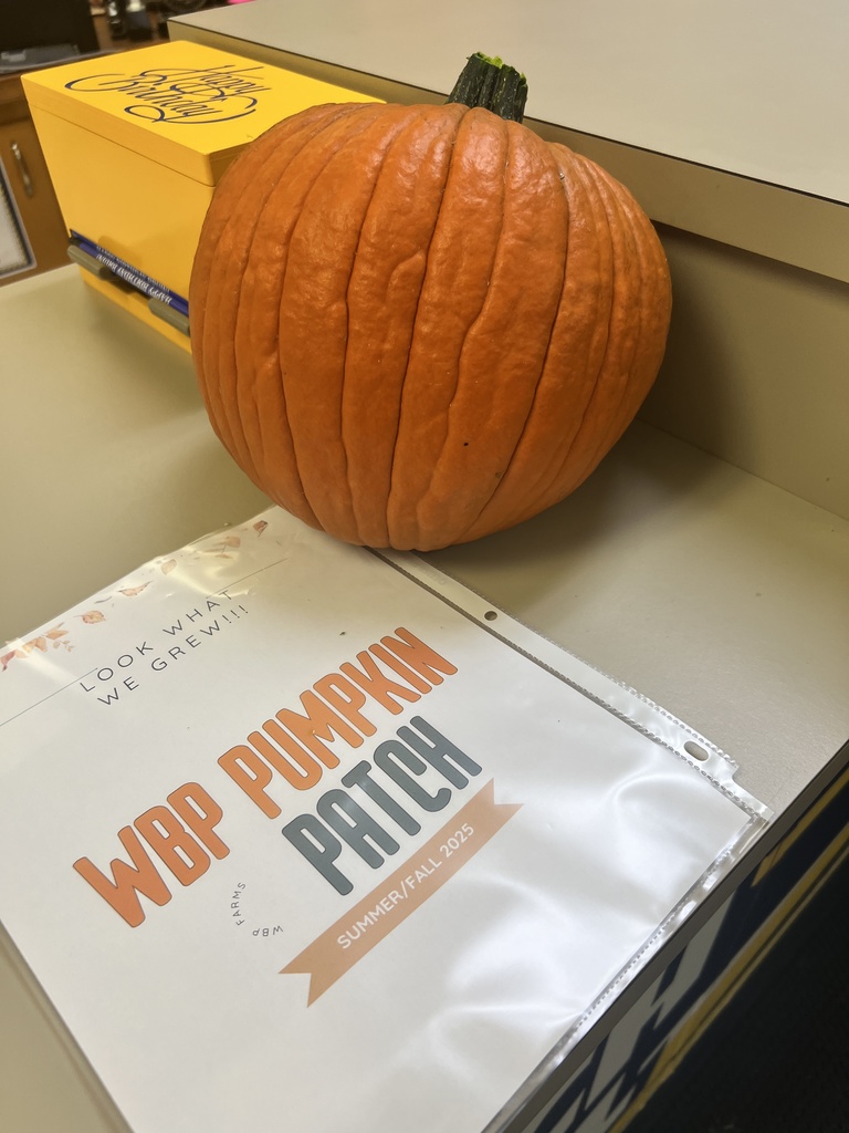 WBP Pumpkin Patch