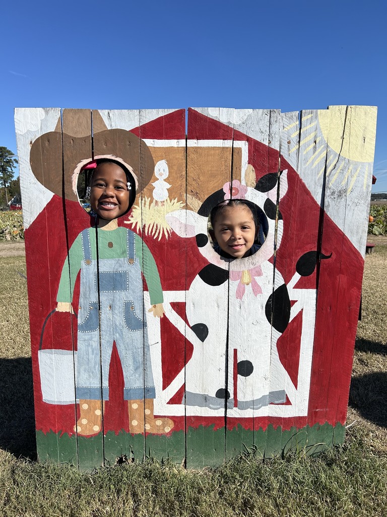 Students at Farm cut outs