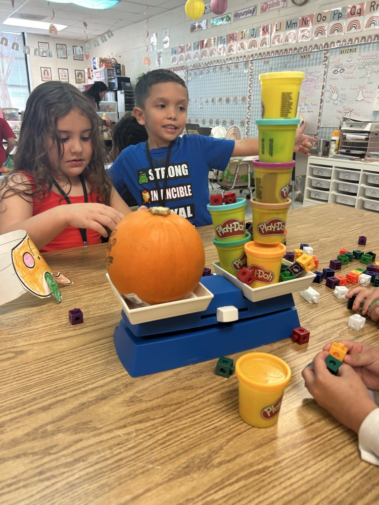 pumpkin rotation station