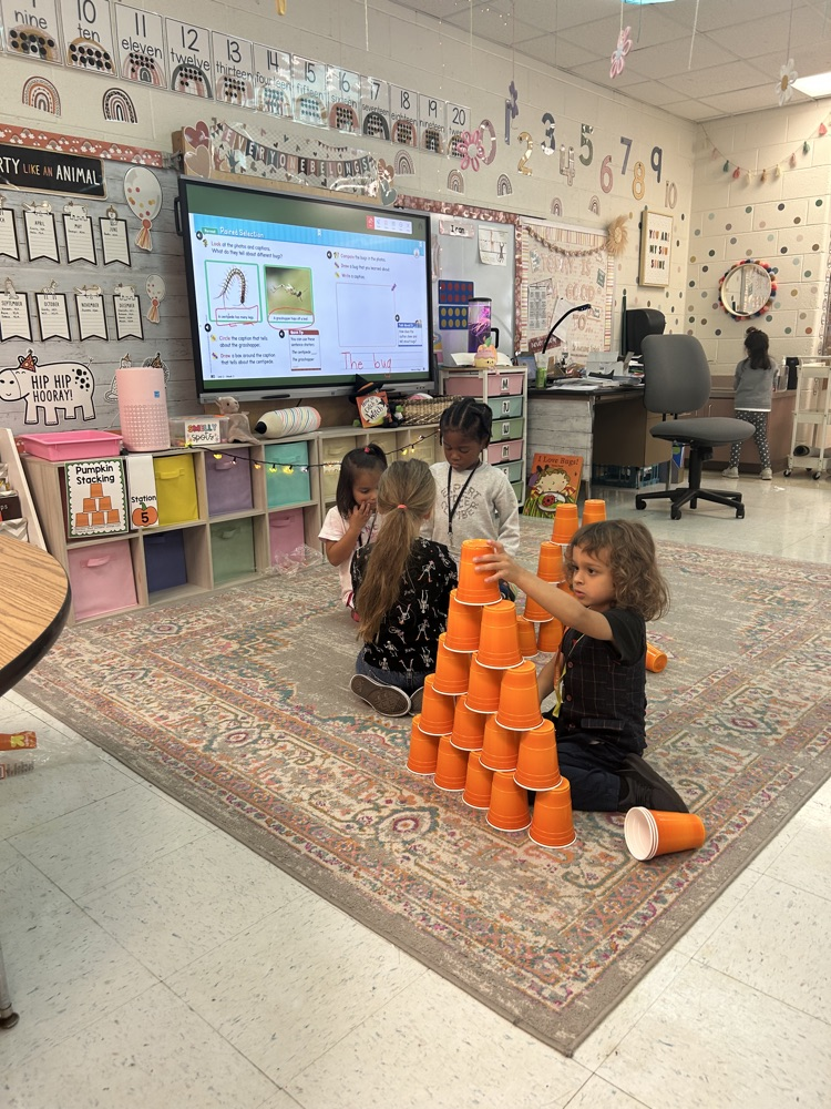 pumpkin rotation station