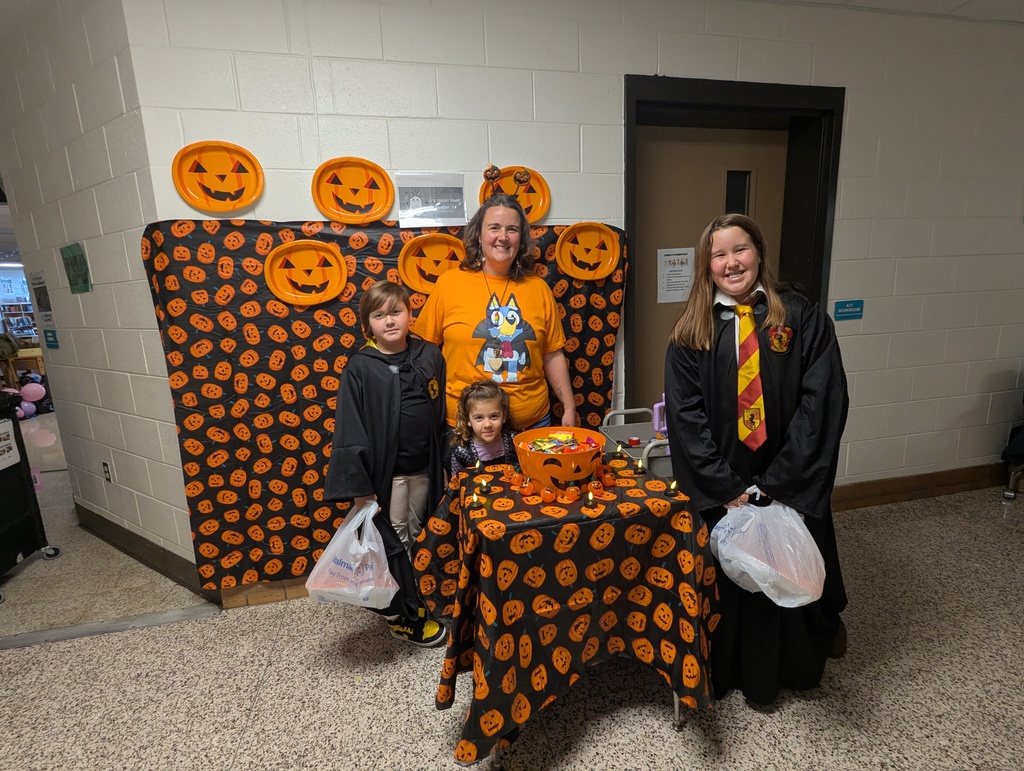 pumpkins, bluey and Harry potter