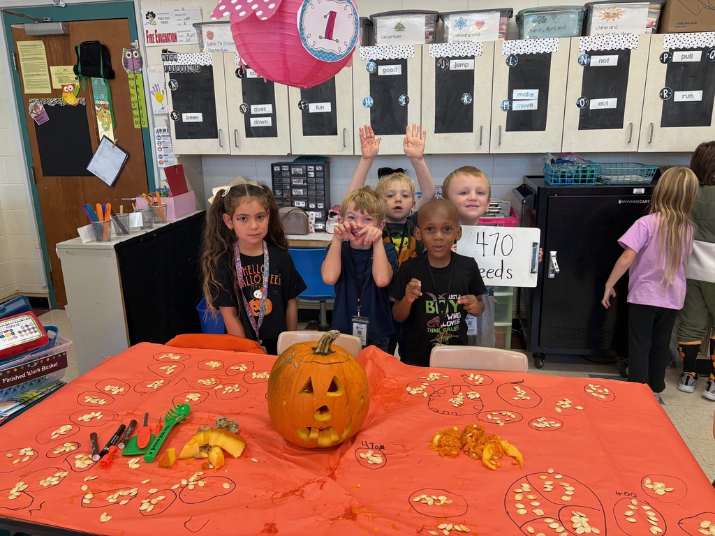 counting pumpkin seeds