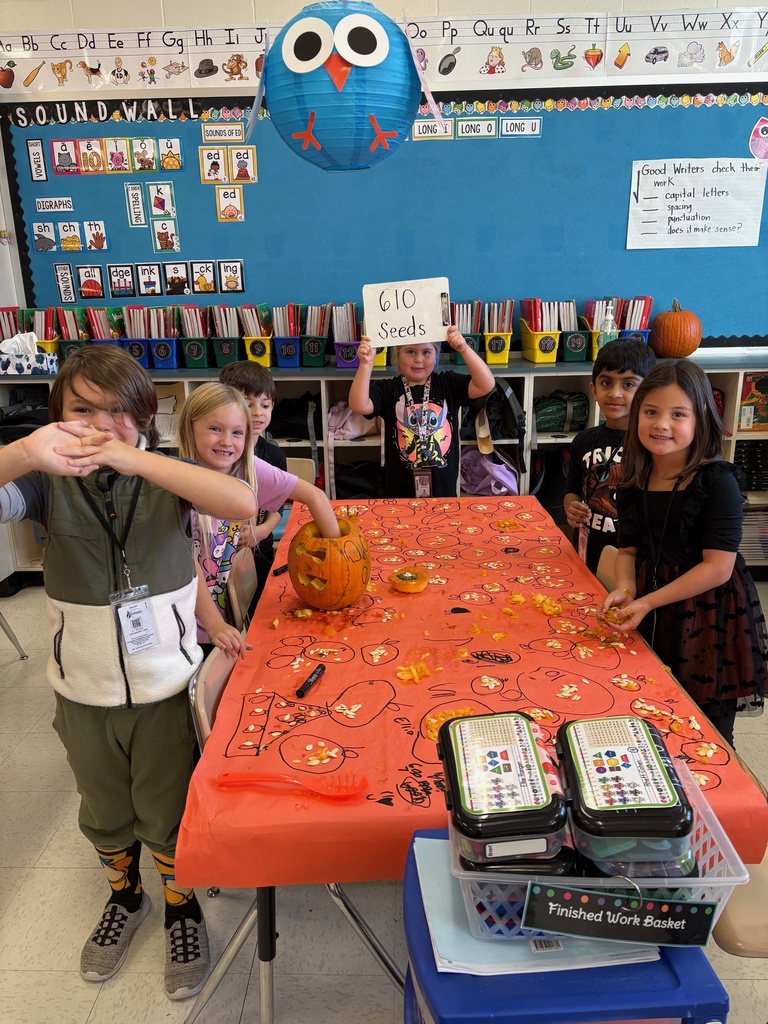 counting pumpkin seeds