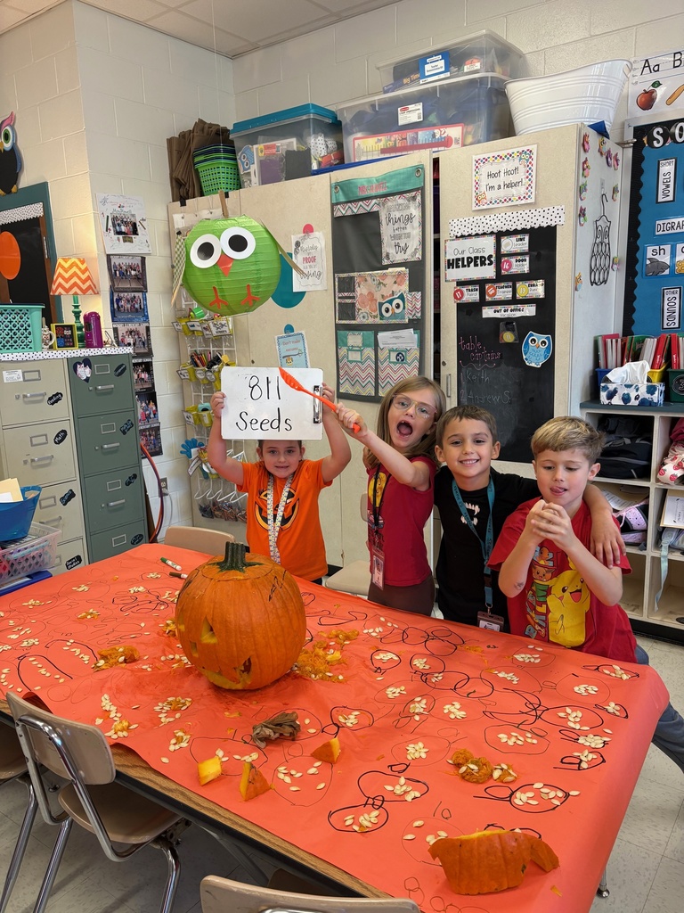 counting pumpkin seeds