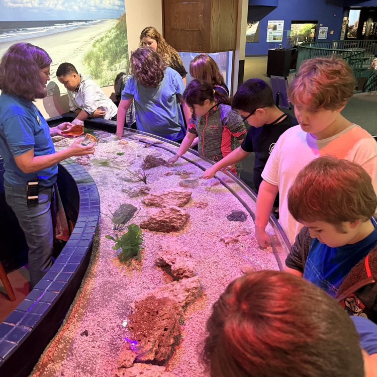 students by the touch tank 