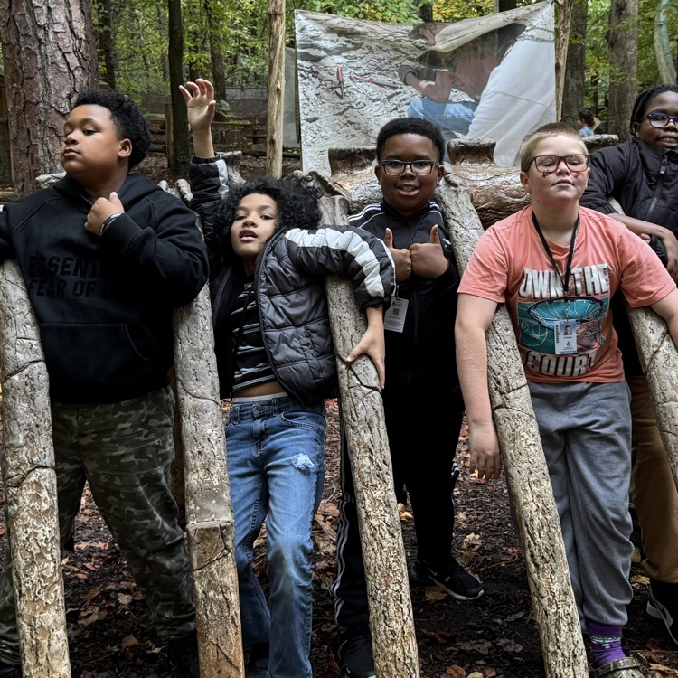students in dinosaur play ground fossils 