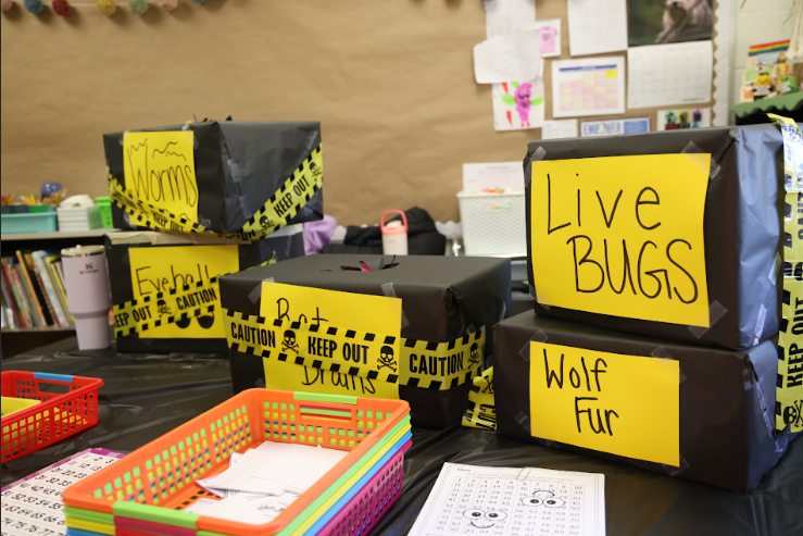 Halloween Stem day 1st grade teachers