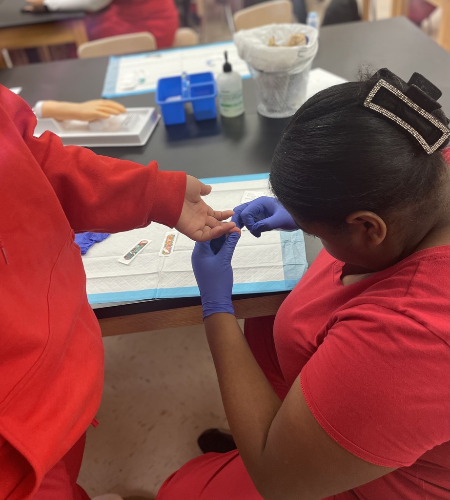 Med lab students blood Lead tests