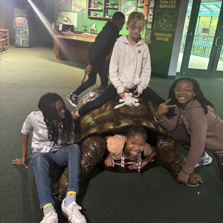 students in, on, and around a statue of a turtle