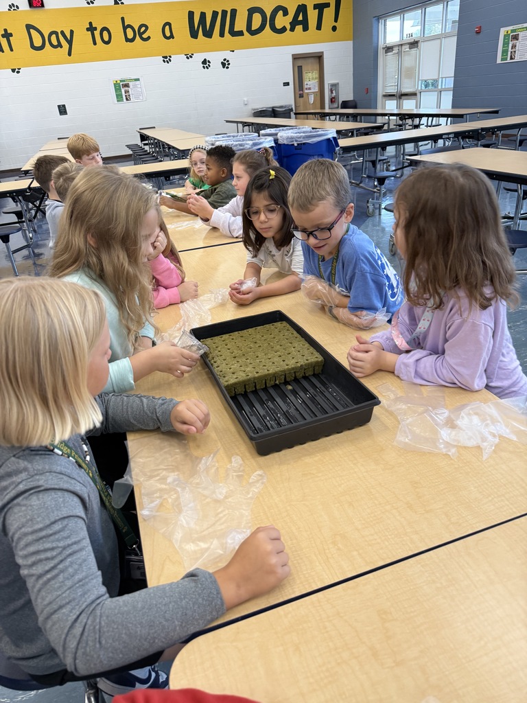 2nd graders starting hydroponics project