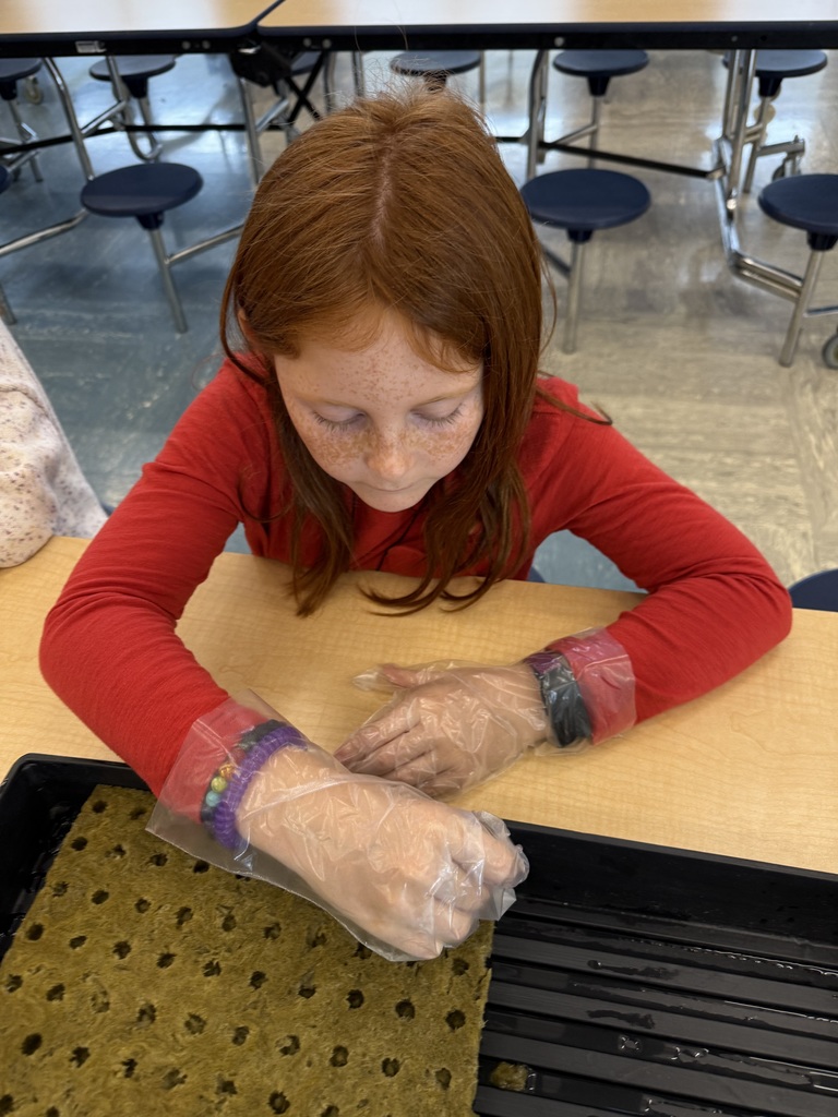 2nd graders starting hydroponics project