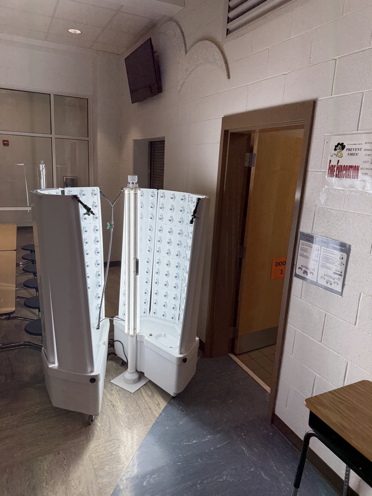 2nd graders starting hydroponics project