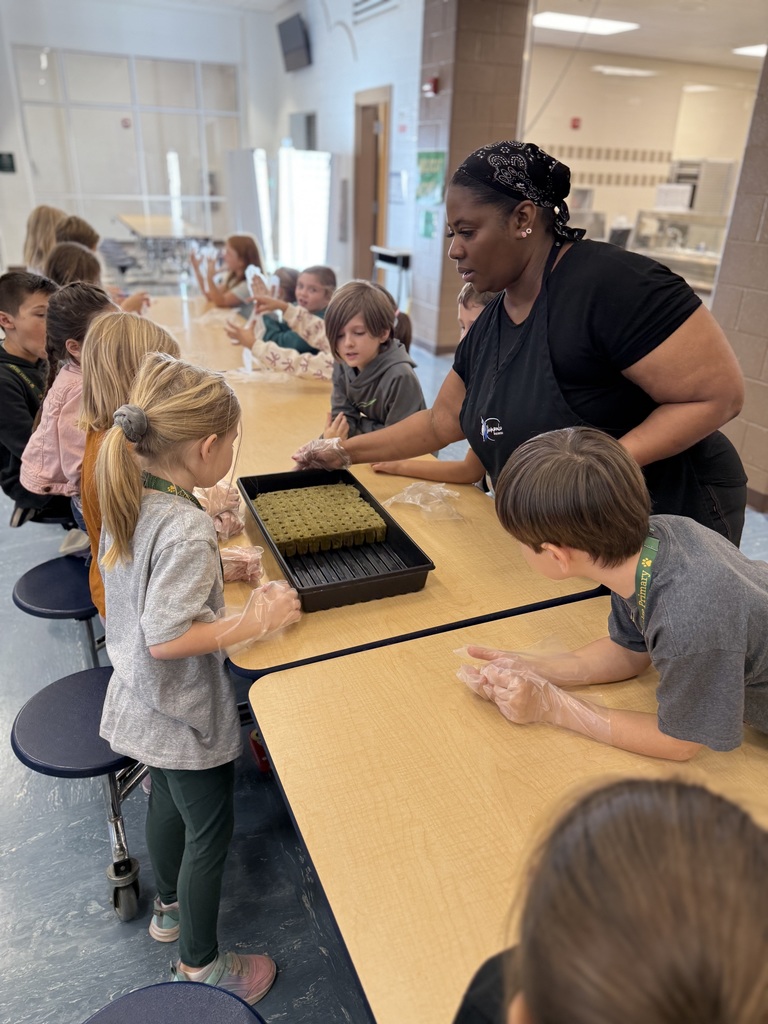 2nd graders starting hydroponics project