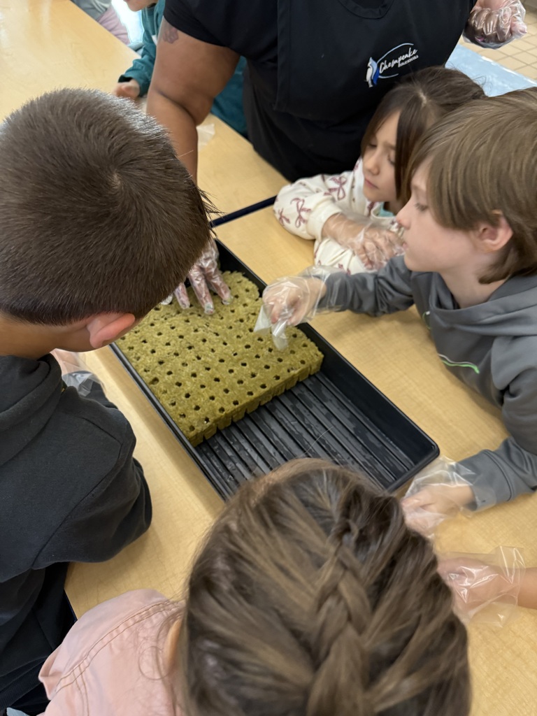 2nd graders starting hydroponics project