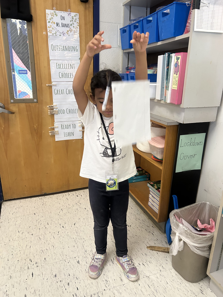 student explores force and motion with a gravity race investigation