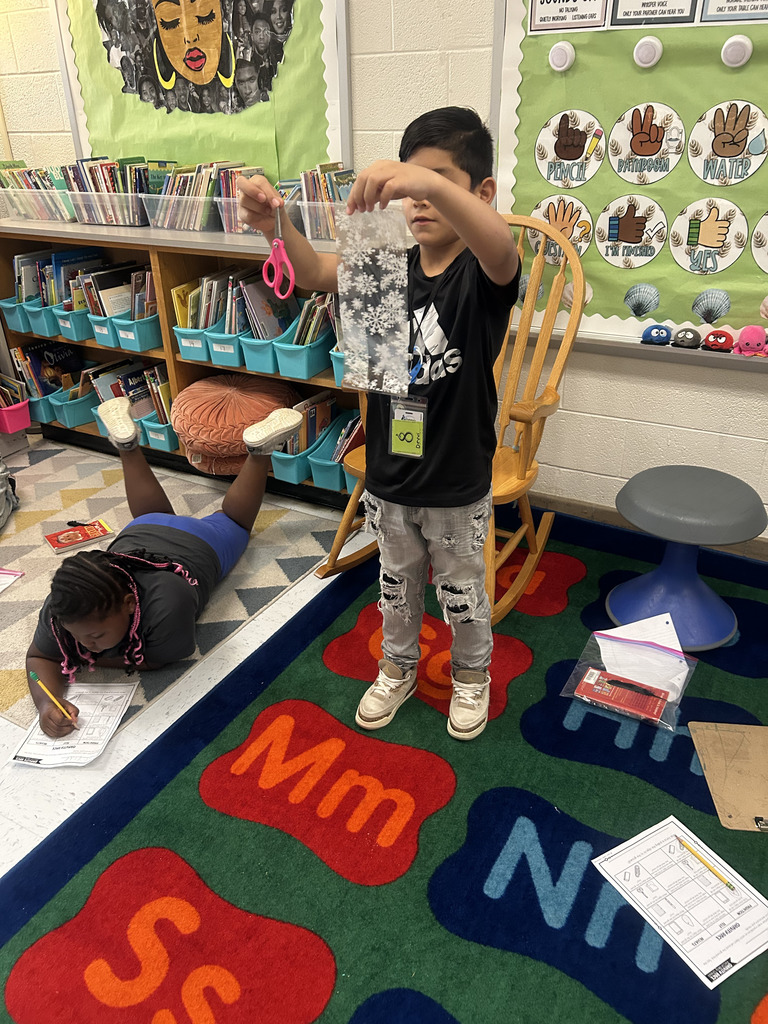 student explores force and motion with a gravity race investigation