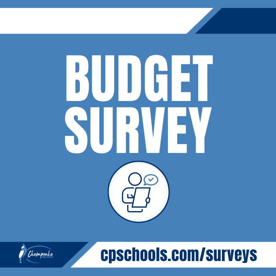 budget survey writtien on graphic with blue background