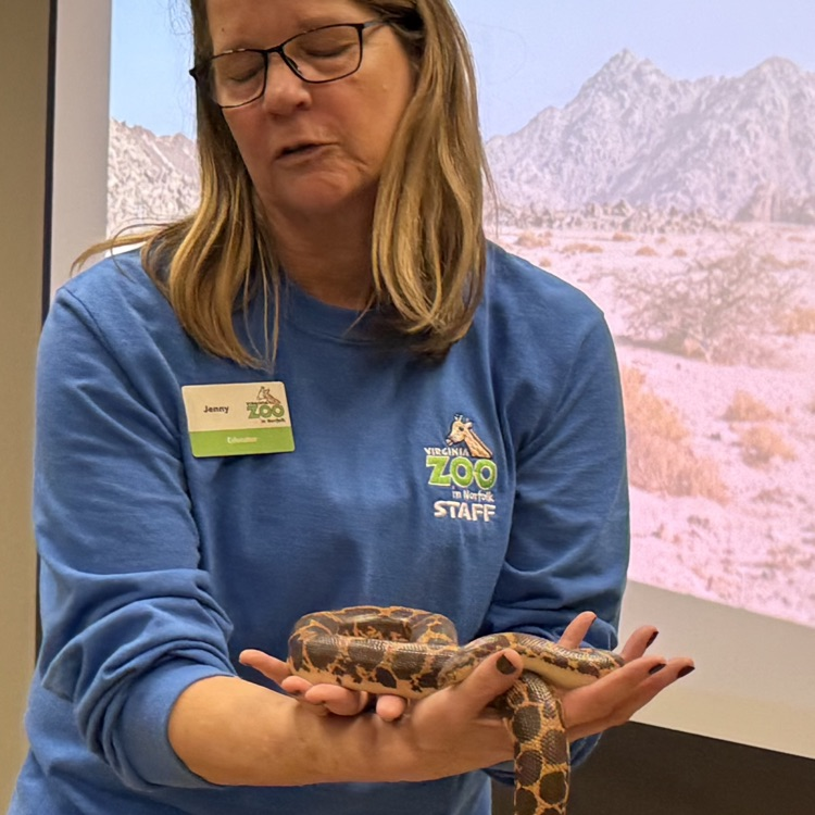 2nd grade zoo field trip