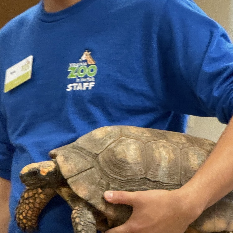 2nd grade zoo field trip