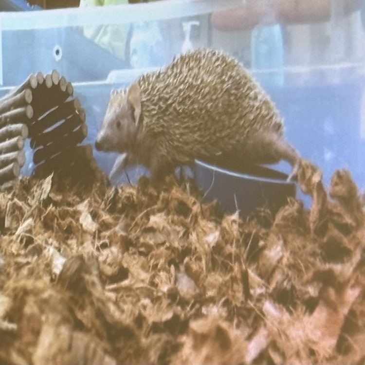 2nd grade zoo field trip