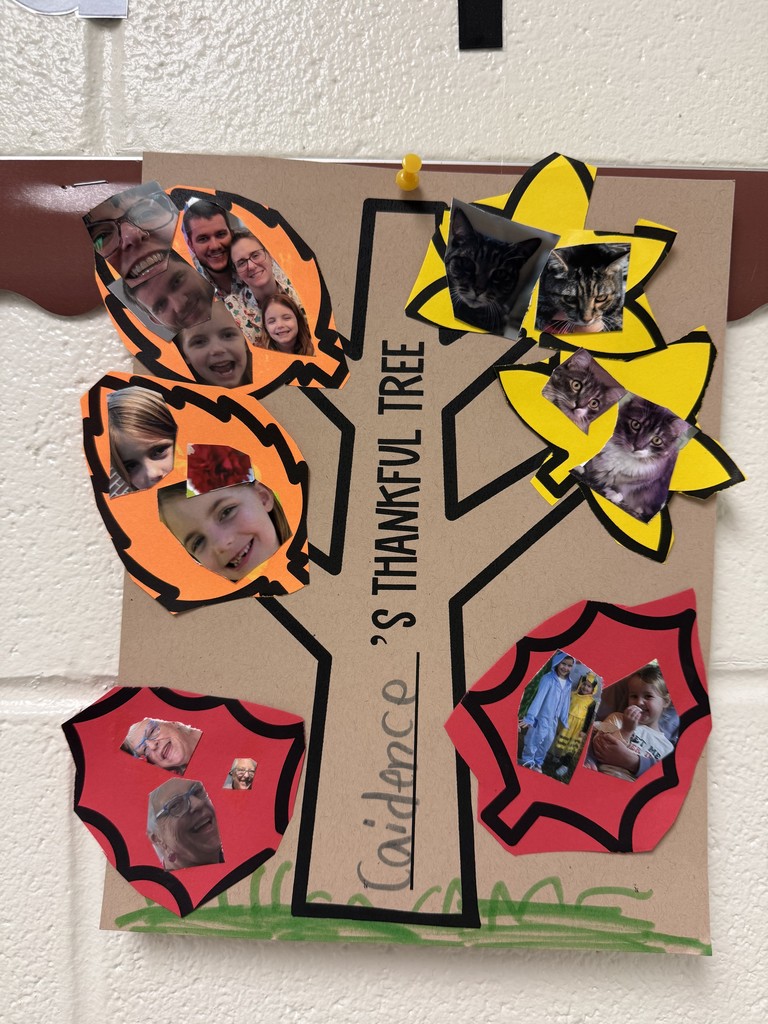 Caidence's tree of gratitude showing pictures of her family and pets