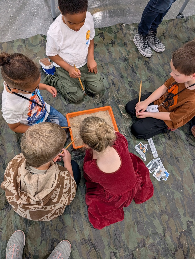students digging through sand