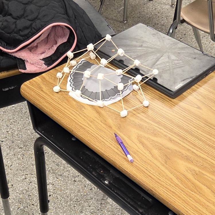 completed turkey cage