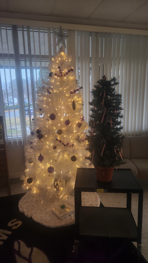 Angel tree empty of angels.