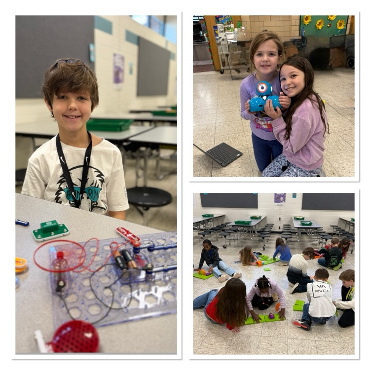 third grade stem fair
