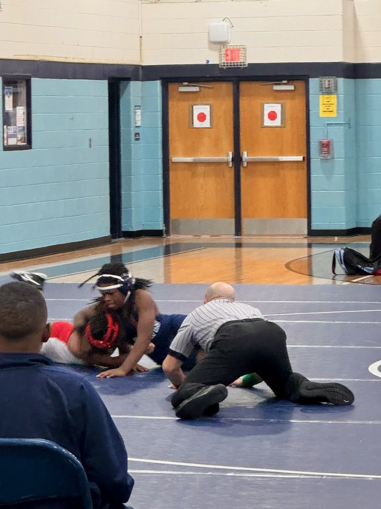 IRMS vs CWMS Wrestling Match 