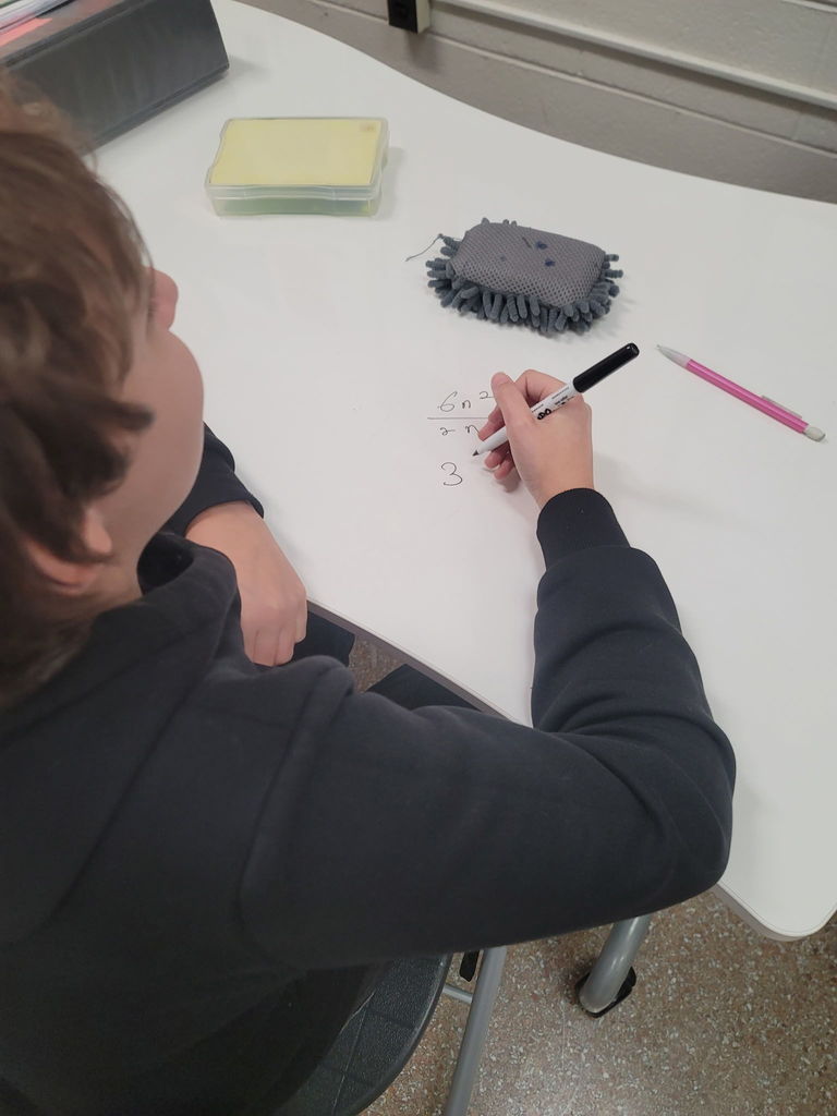 Students reviewing math 