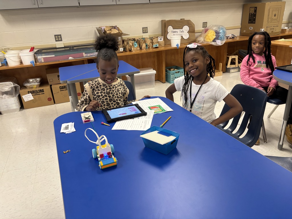 2nd Grade Systems Unit