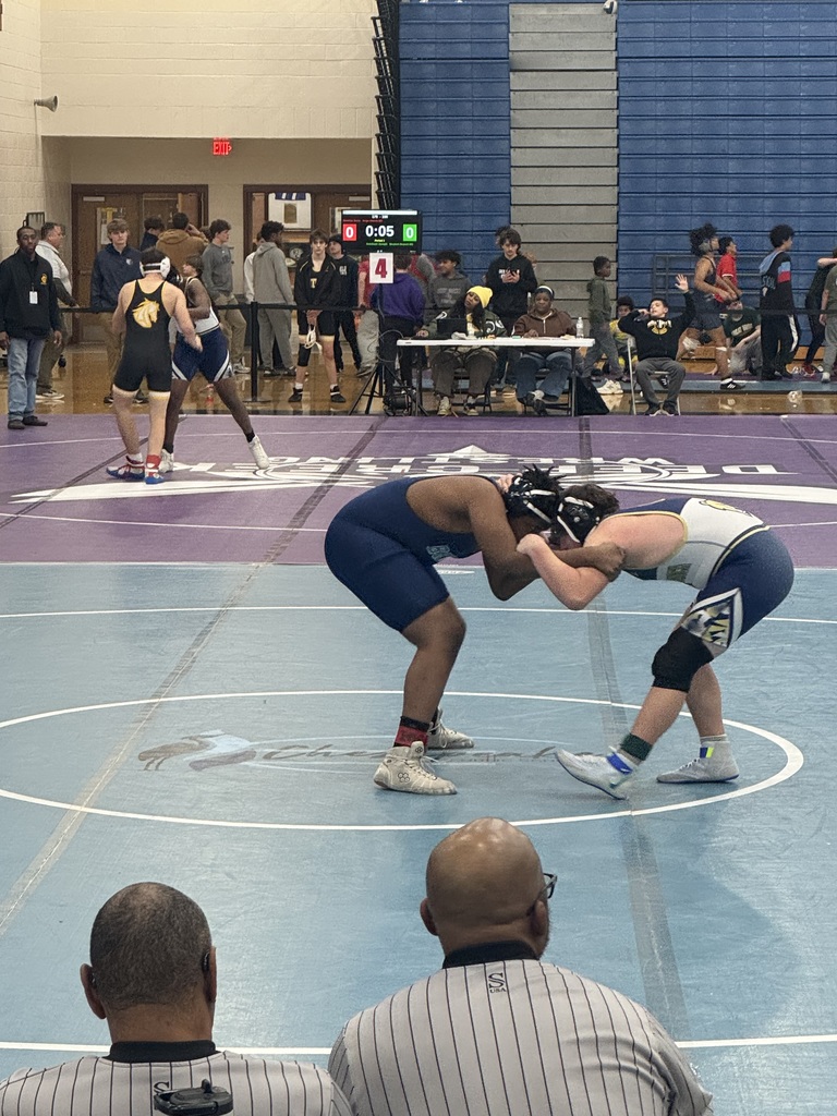 Citywide Wrestling Match