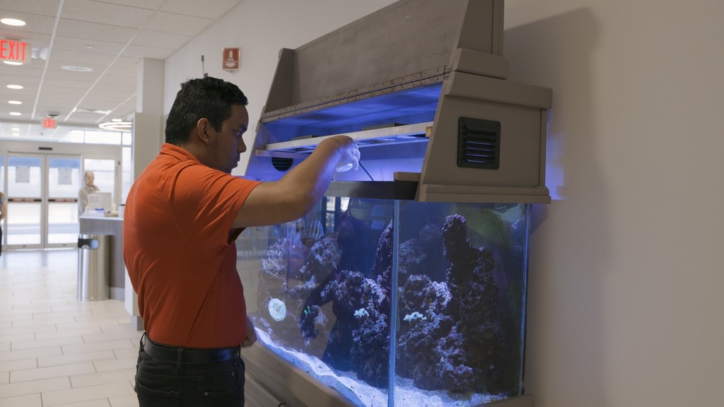 person feeding fish in a fish tank