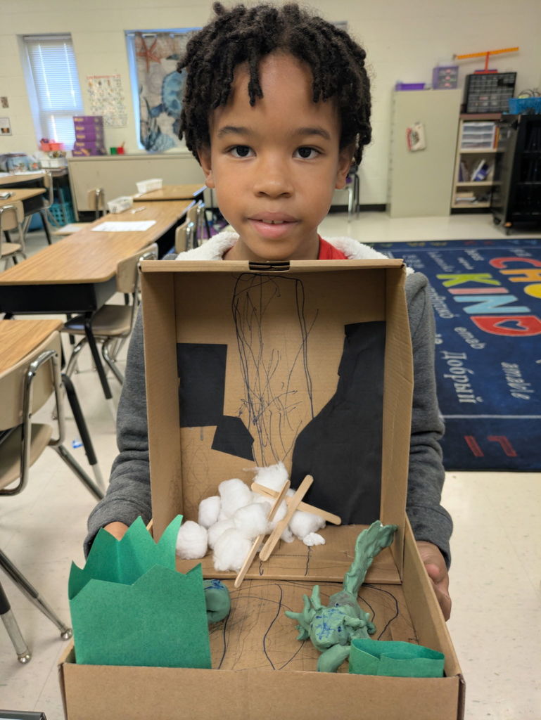 3rd grade habitat projects