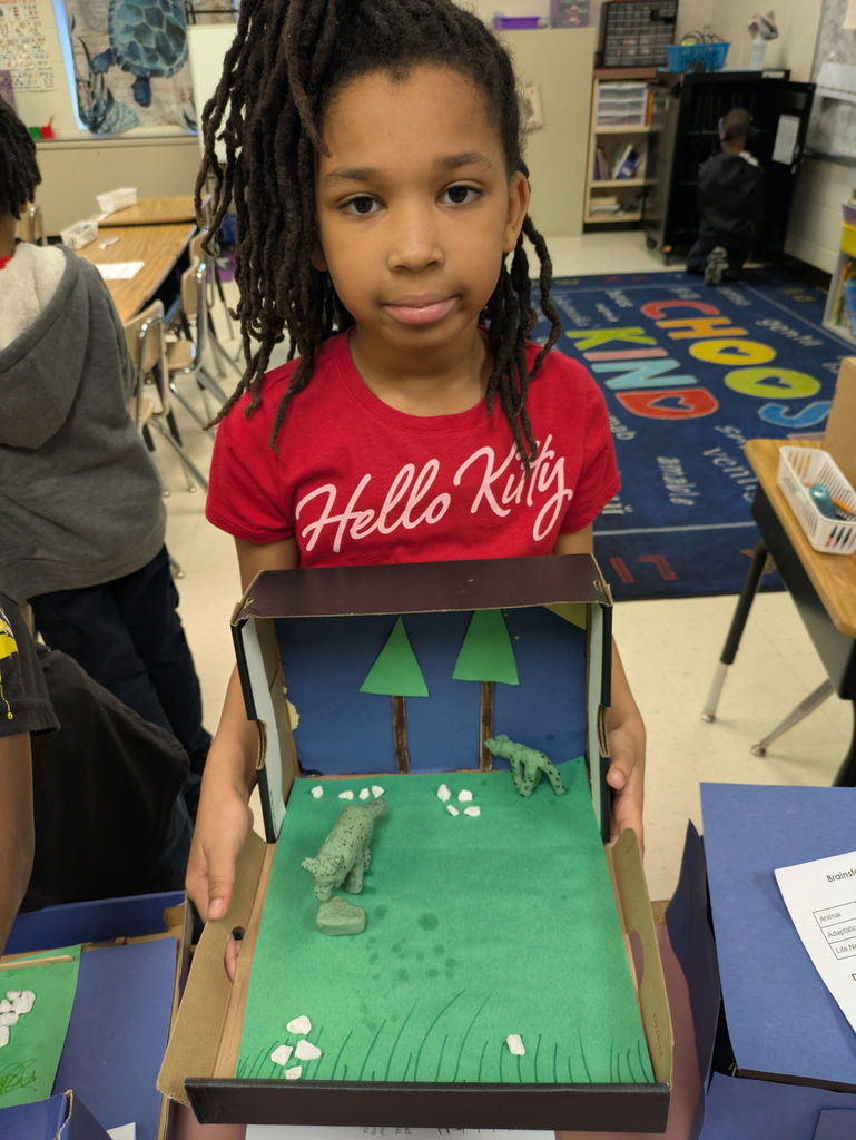 3rd grade habitat projects