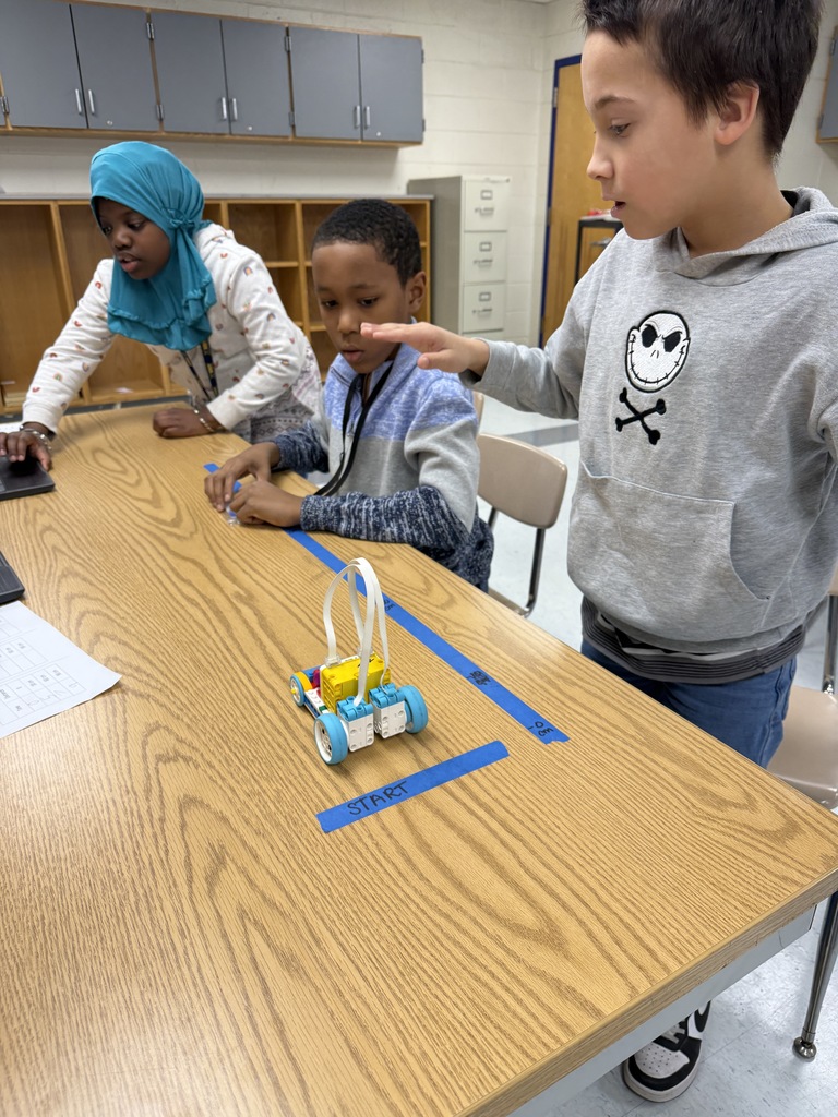 One group working together to collect data.