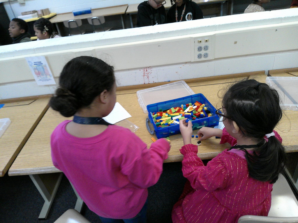 students work in partners to build an animal transportation structure