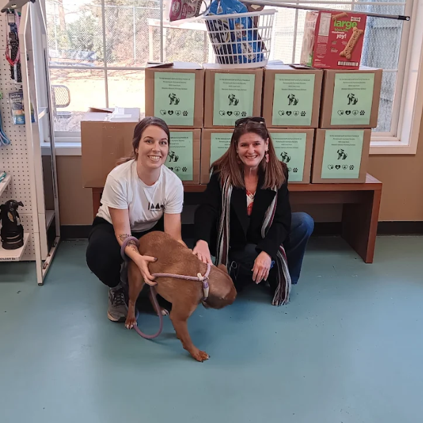 Pet Supply Drive Kindness Week