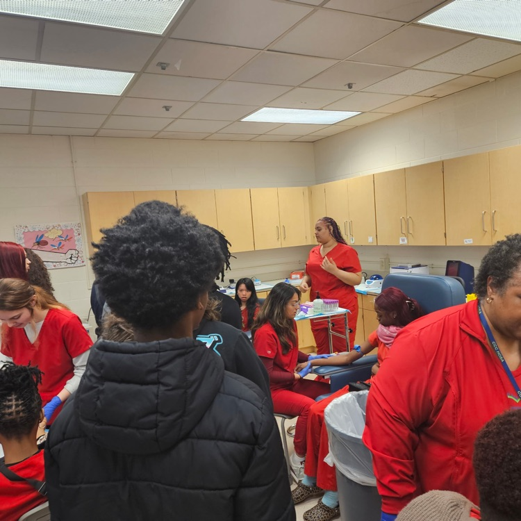 IRH freshman seminar