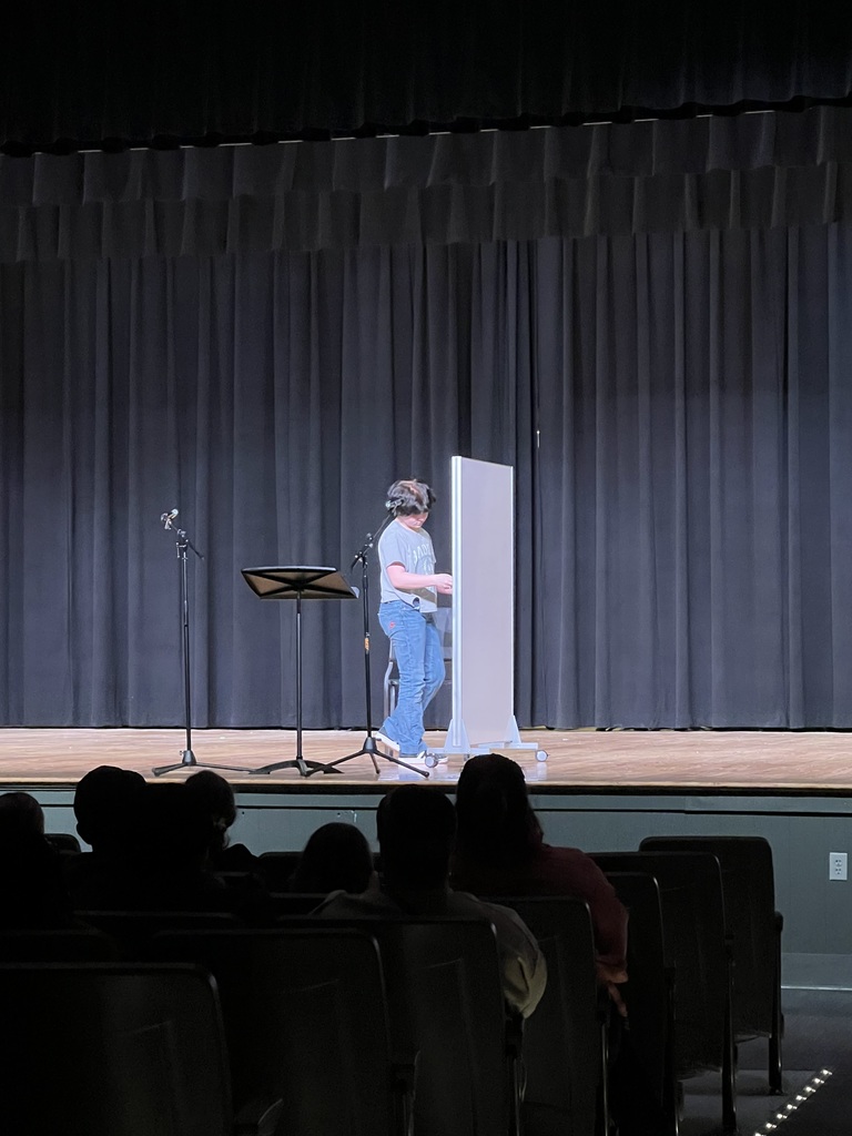 IRMS Talent Show Performers 2026