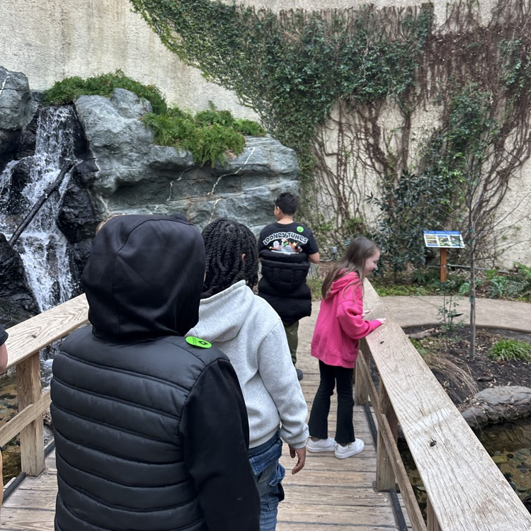 students walking on a wooden bridge 