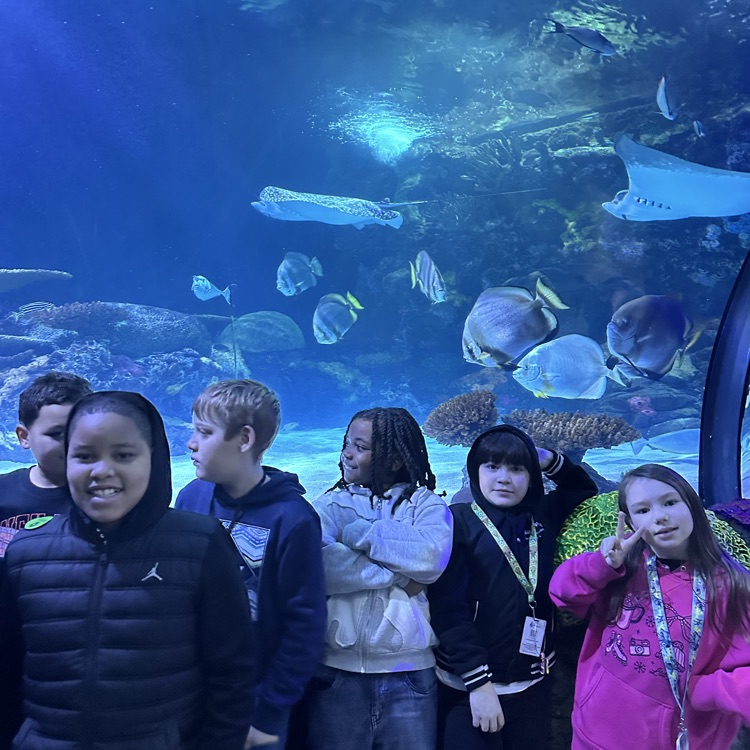 students with fish tank behind them