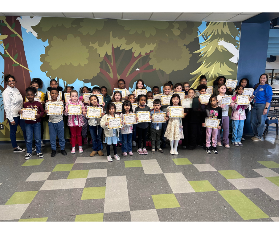 February Falcon of the Month