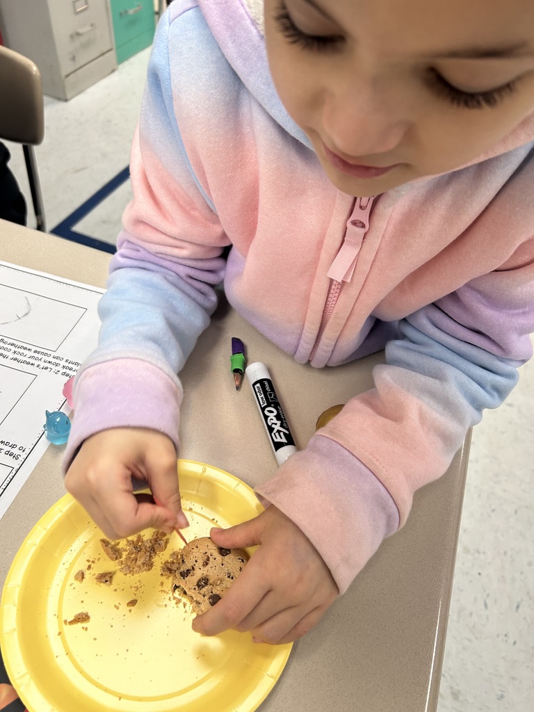 A close up of a second grade student mimicking the effects of erosion using a toothpick on a chocolate chip cookie