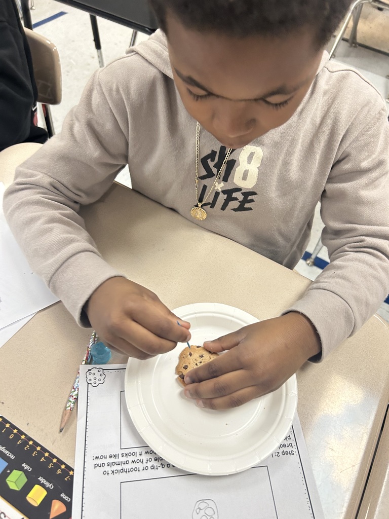 A close up of a second grade student mimicking the effects of erosion using a toothpick on a chocolate chip cookie
