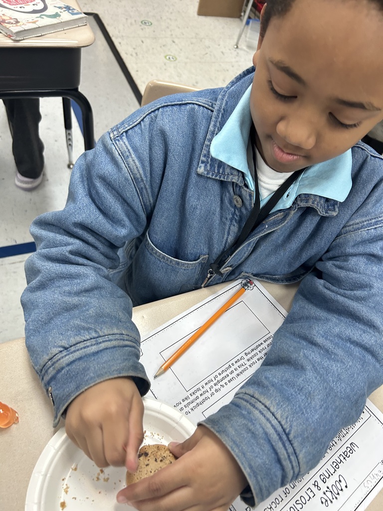 A close up of a second grade student mimicking the effects of erosion using a toothpick on a chocolate chip cookie