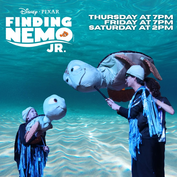 Finding Nemo Jr